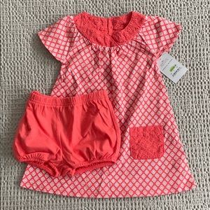 Baby girl dress with bloomers